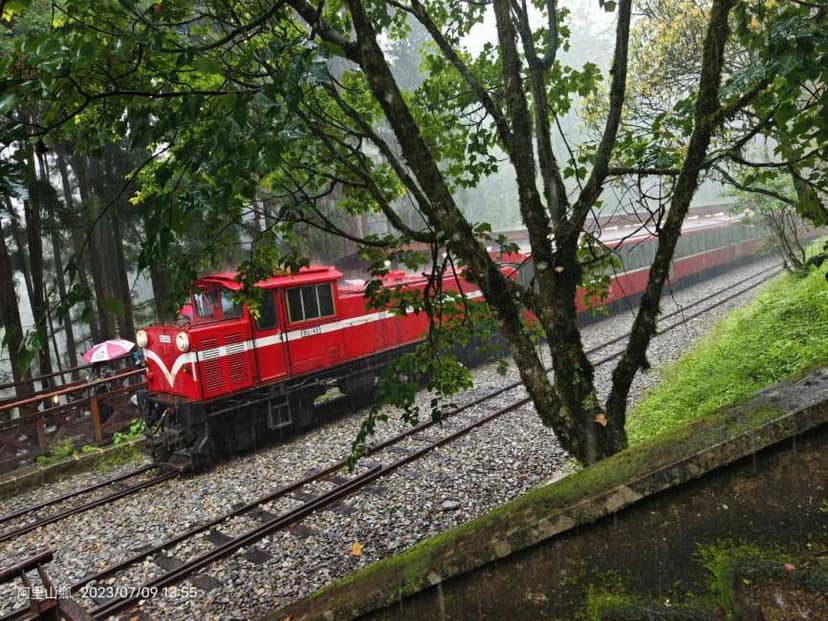 KKday: EXTRA 8% OFF Chiayi Alishan One-Day Shuttle: Fenqihu Old Street & Alishan