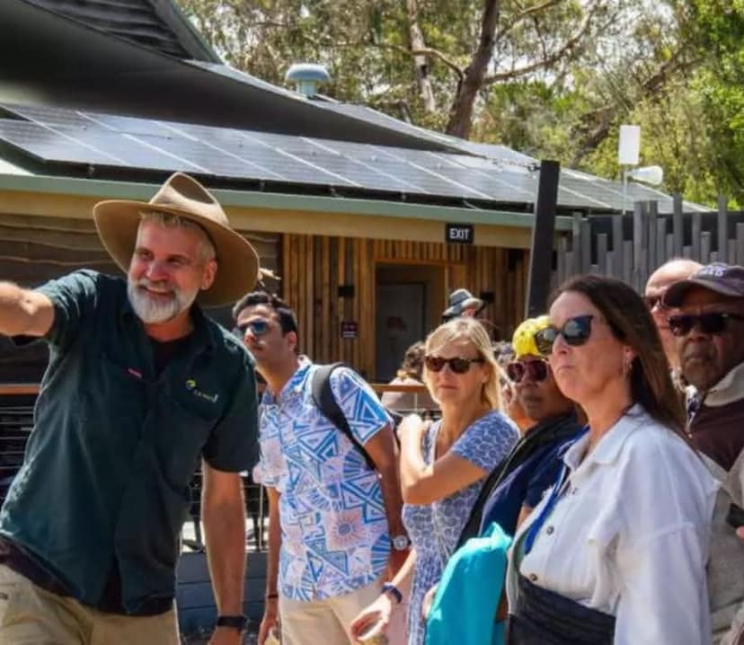 KKday: EXTRA 10% OFF Phillip Island Penguin Parade Eco Tour from Melbourne