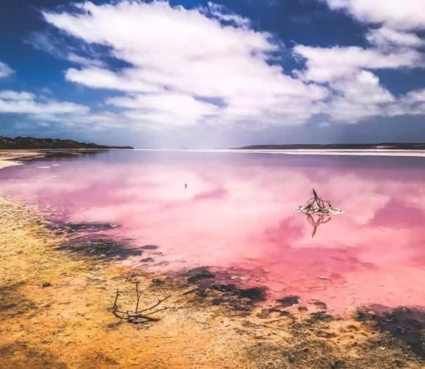 KKday: EXTRA 10% OFF Western Australia 2-Day Tour (stackable deal)