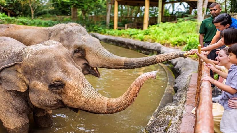 Pelago: 20% OFF Mandai Wildlife Reserve Tickets to visit top family attractions including Singapore Zoo, Bird Paradise, River Wonders and Rainforest Wild ASIA for wildlife encounters and nature experiences.