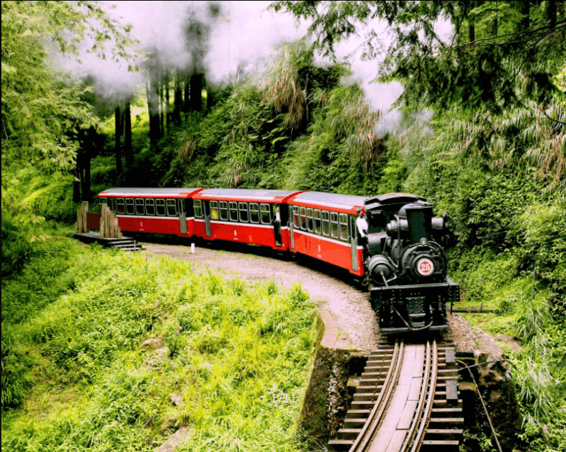 KKday: 8% OFF Alishan Day Tour from Chiayi to explore the famous Alishan mountain scenery, ride the forest railway and visit historic Fenqihu Old Street.